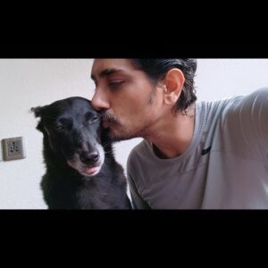 Siddharth Instagram - Learn to love.

Love helps you learn to live.

Live to love.

Love is all you need. ❤️

#PuppyLove #Nori #loveislife