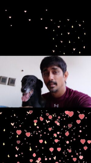 Siddharth Instagram - Karuppi love ❤️

Worrrssstttu case Nori 🙄

#PuppyLove #singtoyourkids #NoriPuppy