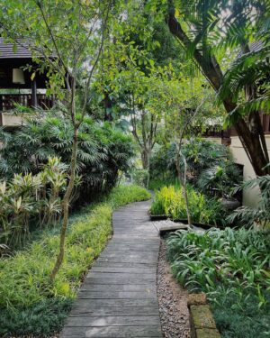 Simu Liu Instagram - ขอบคุณมาก!

chiang mai was such a dream. thank you @fschiangmai for the exquisite hospitality!! truly one of the most beautiful places on earth.

(ps i now manage gary the buffalo’s socials dm me for inquiries)