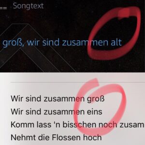 Smudo Instagram - Verdammte Axt. Alles muss man selber machen. Es heisst „...zusammen EINS“ und nicht zusammen ‚alt‘. @amazonmusicde (oben) falsch. Unten @applemusic (unten) richtig!