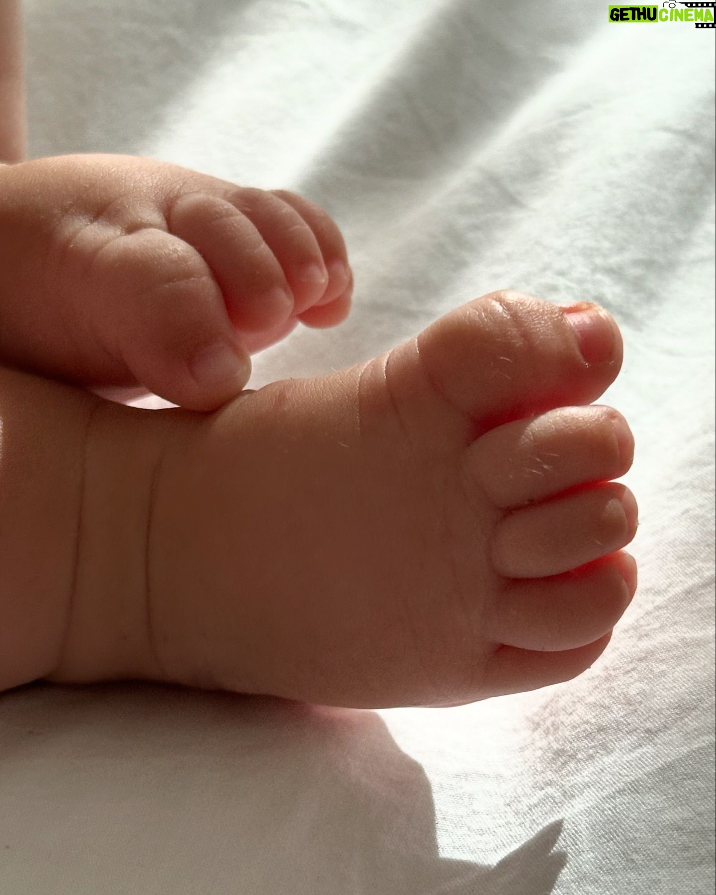 Sofia Arruda - 25.1K Likes - 4 meses a receber demasiados beijos não pedidos, eu sei filha mas não consigo parar ❤️
#oliamaro