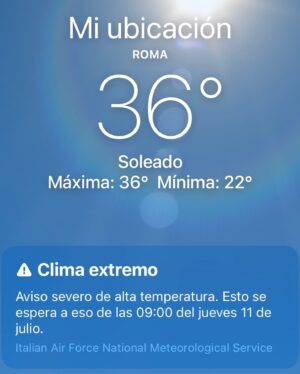 Sol Moreno Instagram - del carrete y roma