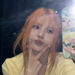Song Ha-young