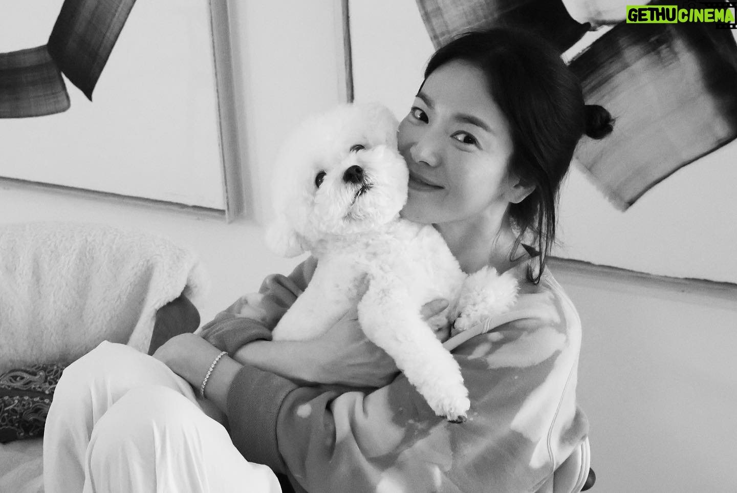 Song Hye-kyo - 2.3 Million Likes - ģģ @skuukzky š