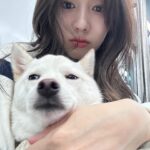 Song Su-i
