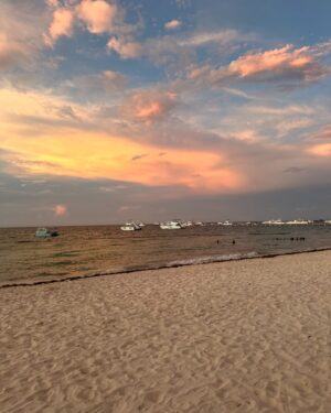 Sónia Araújo Instagram - 🌴☀️🌅
Tô bem!

#serenidade #relax #sunset #cool #bembom