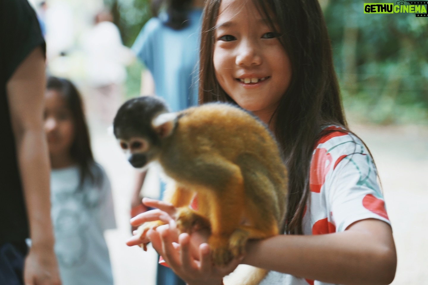 Sonia Sui - 53.8K Likes - 小孩上學後,每年6-8月時間都盡可能留下給他們,儘管如此還是感到時間太快。去年避暑照片仍沒來得及分享完,暑假又到,且不過一年新泳衣又太合孩子身,明年得換了。
成長肯定是轉瞬間,開心多還是惆悵多,真答不上來。
感謝石垣島,今年初夏回憶的承載任務很美好🩵
#我在石垣島的日子
#全職媽媽的時光
#ishigaki
#clubmed #clubmedkabira
#summertime #familytime