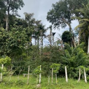 Sonu Gowda Instagram - Coorg diaries ❤️😇