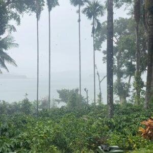 Sonu Gowda Instagram - Coorg diaries ❤️😇