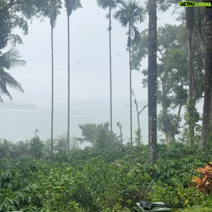 Sonu Gowda - 57.3K Likes - Coorg diaries ❤️😇
