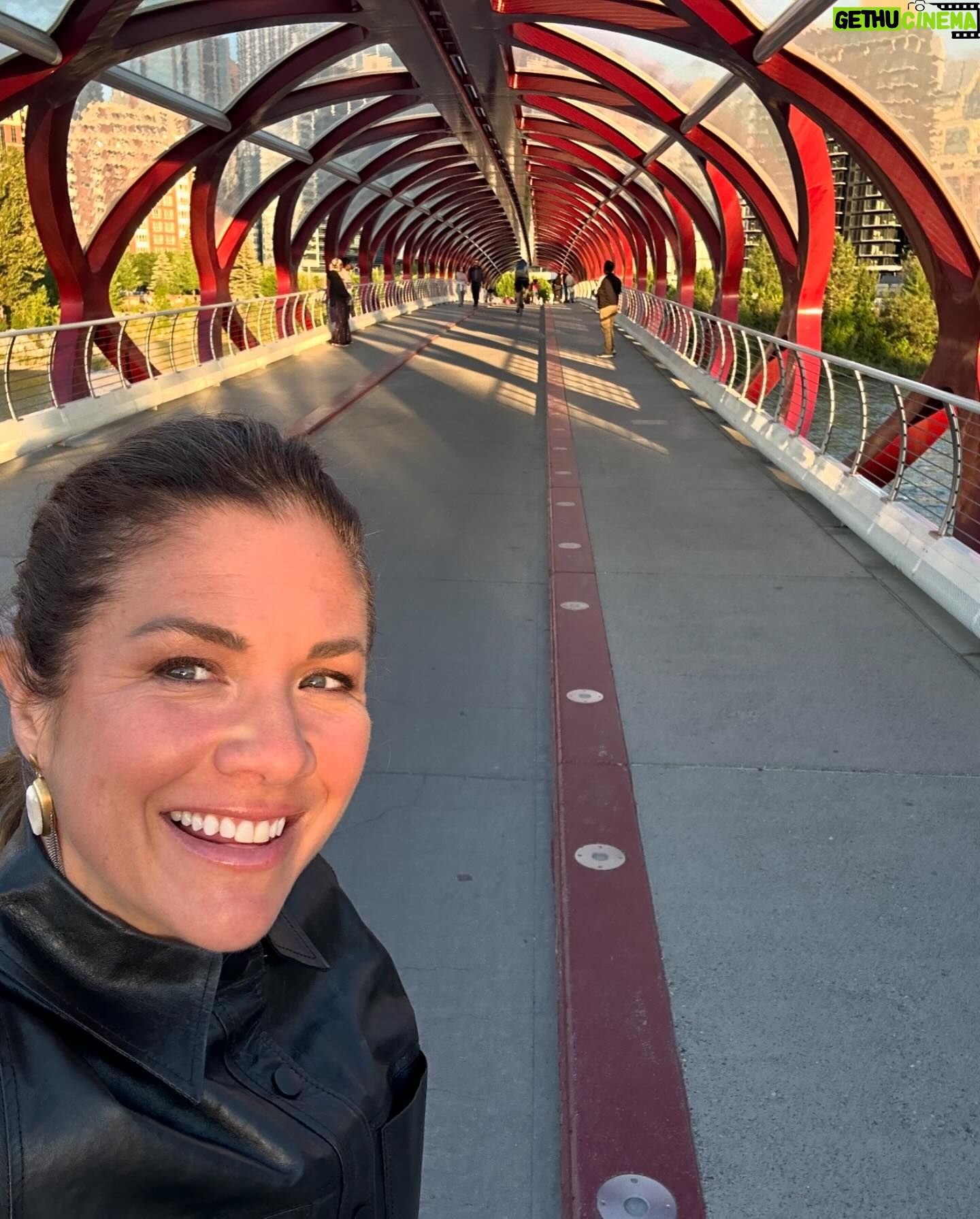 Sophie Grégoire - 6.2K Likes - Hey! Nothing like flying in clear blue skies over the Canadian Rockies!
I was on the road this week for speaking engagements and presenting my book Closer Together in fantastic Vancouver and Calgary. The beavers were also hard at work in a park in the middle of the city! Swipe until the end!