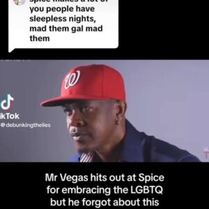Spice Instagram - Misses GayGas here’s the highlight that you’re hungry for . I couldn’t sleep tonight without highlighting the hypocrisy and jealousy plaguing my Career………..1st slide is apart of my performance with a Fan…………………2nd slide is you saying I’m no Queen because I have no Problem with anyone from the LGBTQ community, and mi nah stop say “I don’t care about people sexual preferences and I Love ALL MY FANS WORLDWIDE……………..3rd Slide is your old interview talking about the same people you claim are gay…………5th Slide is you saying you called Transgender to take pictures with them. I’ll finish you off tomorrow because you said I have no talent so let’s match our Musical accolades.  Badmind is a wicked decease. Mirror 25 drops August 9th Good night