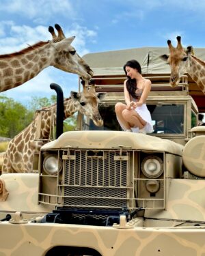 Sririta Jensen Instagram - Safari day🦒🦙🕊️

ริต้าปักหมุด📍ใครที่มามาเที่ยวหัวหินอย่าลืมแวะมาที่ HUA HIN SAFARI นะคะ เด็กๆชอบ ยีราฟกับอัลปาก้ามากค่ะ 😃