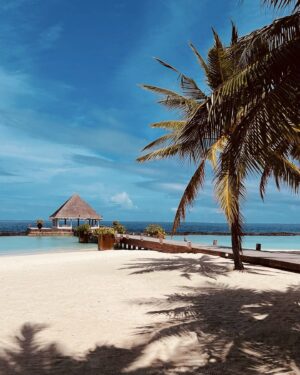 Srishty Rode Instagram - Soaking up the sun, and living my best beach life 🩷
Fun in the sun never looked this good! 🌴☀️ @coco_resorts 
.
@pickyourtrail 
#COCOMOMENTS #COCOCOLLECTIONMALDIVES #COCOHIDENGEM
#COCOECORETREATS #MALDIVESSTYLEBYCOCO