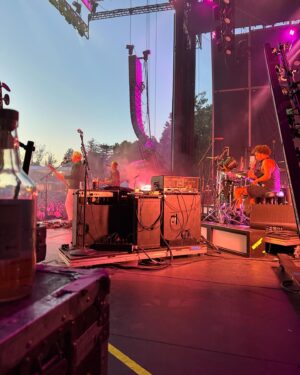 St. Vincent Instagram - Napa data.