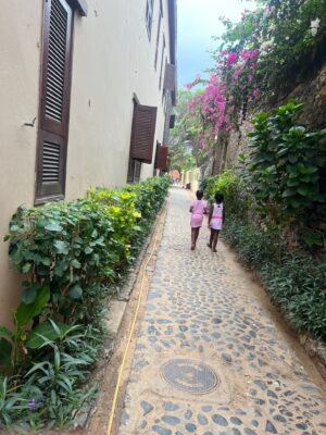 Stacey Plaskett Instagram - During my time in Senegal with the House Intelligence Committee, I observed the rich connections and similarities between Senegalese cultural practices and the culture and folklife that I and many other Virgin Islanders grew up with. Traditions of storytelling, dance, and hair braiding were brought to the Caribbean from Senegal and other West African countries during the slave trade. 

Today, those cultural imports can still be seen in the spiritual stilt dancing of our Moko Jumbies and the hair braiding practices in both Senegal and the US Virgin Islands. Teachers! As the school year begins, I encourage you to employ The Smithsonian’s Learning about Folklife: The U.S. Virgin Islands and Senegal (https://buff.ly/3LYpsn8) teaching guide to educate our youth on the rich history and complexities of the African and Caribbean diaspora.

And of course, I took time for Goree Island to make libations to the ancestors and come back through the Door of No Return.