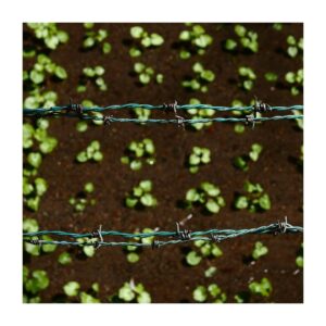 Stana Katic Instagram - Hello my little seedlings of Health, Hope, & Hardiness!

What mental barbed wire have you had to cut through to join in on your Day 8 of #AFitterFunnerMe ??

#AMillionAndOneExcusesToSquigglePast 
#YouGotThis !! 💪🏽💪🏽