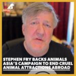 Stephen Fry
