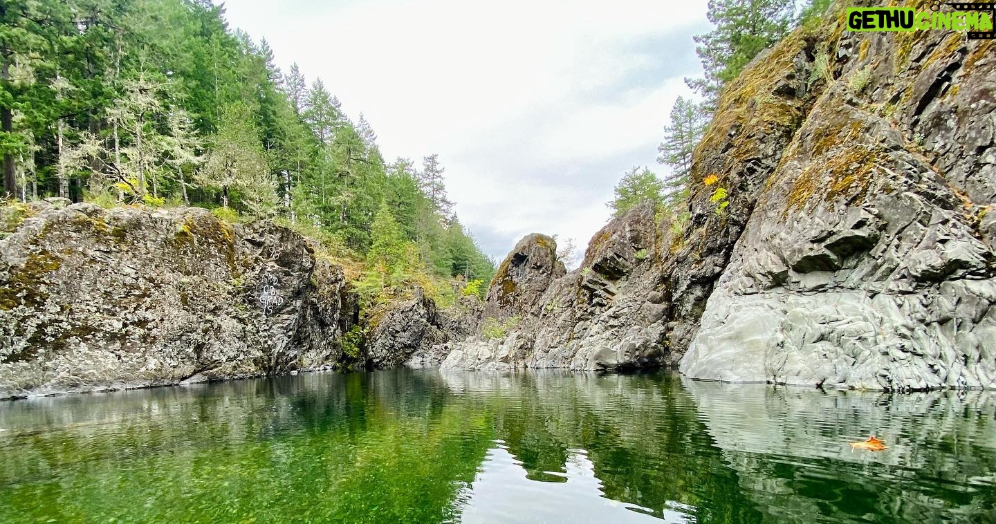 Steve Lund - 1.8K Likes - Sooke-It.