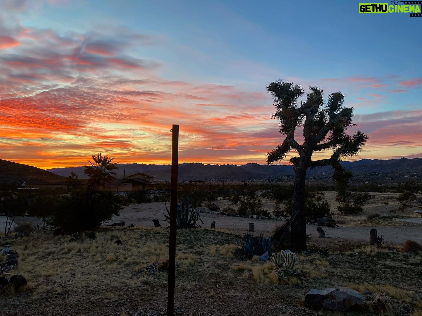 Steve Lund - 2K Likes - Joshin around where the streets have no name. #Bono #TheEdge
#joshuatree @joshuatreenps 🏜