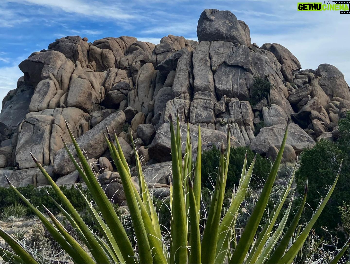 Steve Lund - 2K Likes - Joshin around where the streets have no name. #Bono #TheEdge
#joshuatree @joshuatreenps 🏜