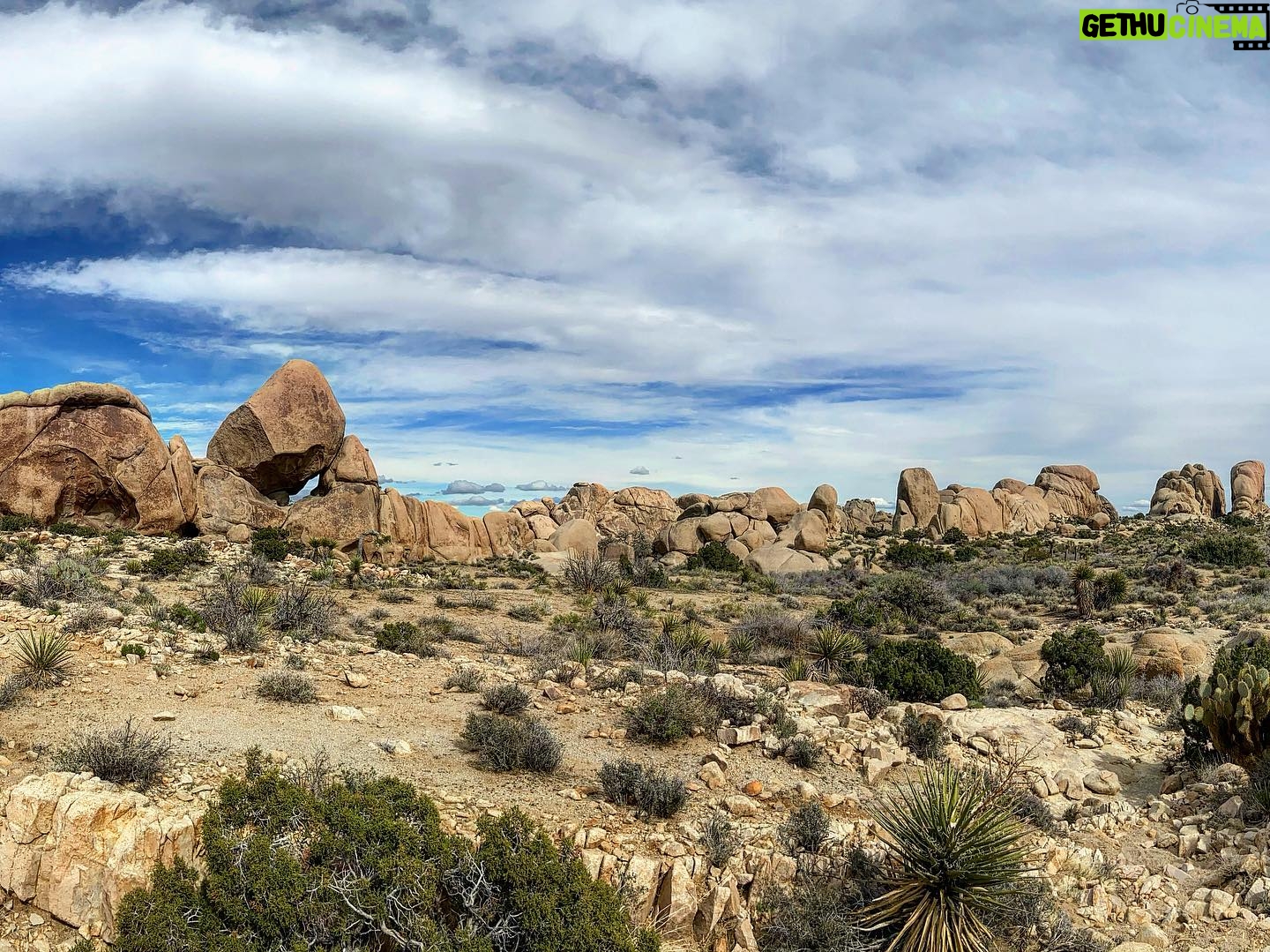 Steve Lund - 2K Likes - Joshin around where the streets have no name. #Bono #TheEdge
#joshuatree @joshuatreenps 🏜