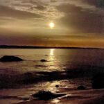 Steve Lund