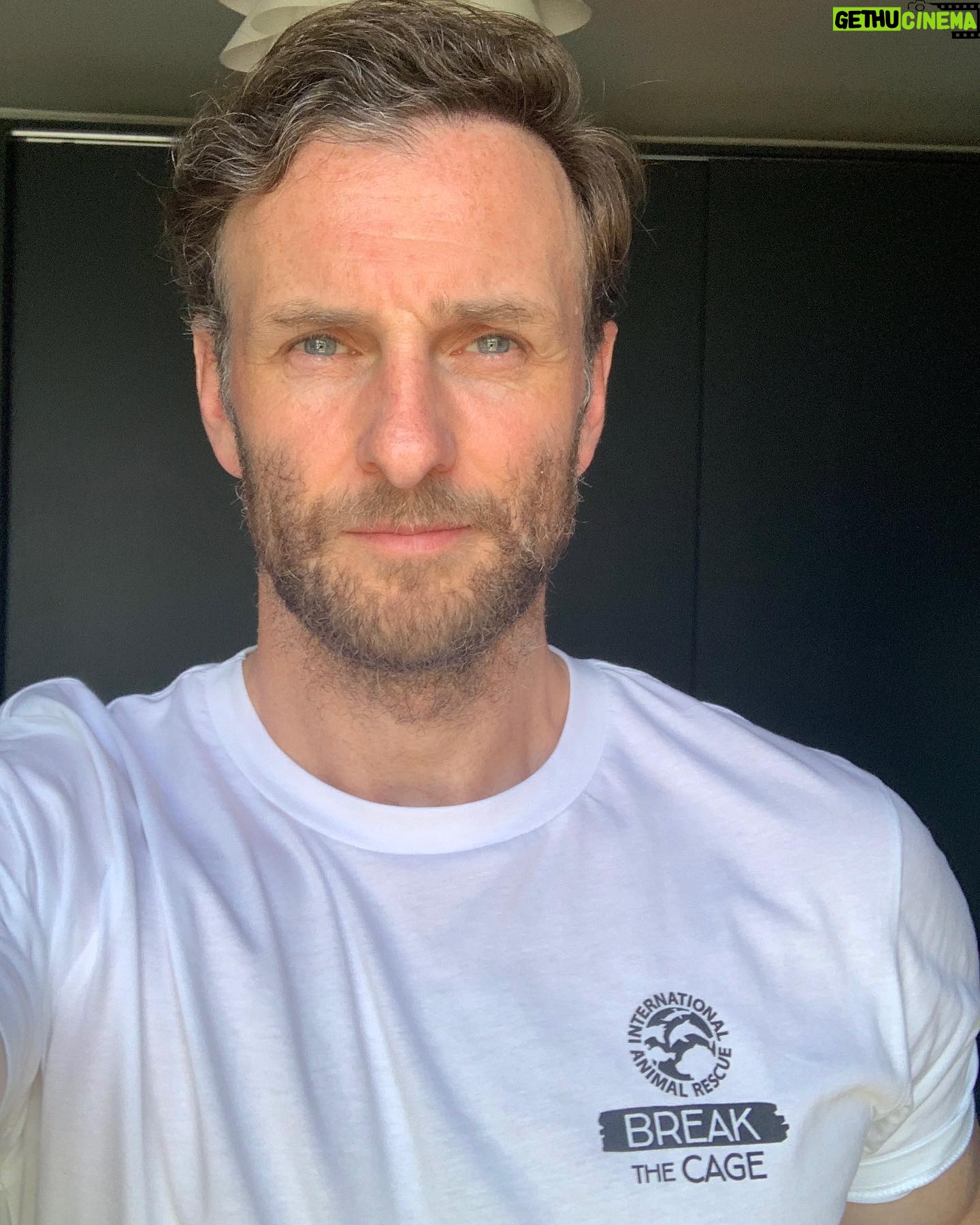 Steven Cree - 3.9K Likes - Thank you to everyone who signed and shared International Animal Rescue’s Break The Cage petition. With your help we can end the suffering of bears in Armenia!
If you would like to support the campaign further, please purchase a Break The Cage t-shirt – link in @international_animal_rescue bio. All money raised will go towards rescuing and caring for these bears.