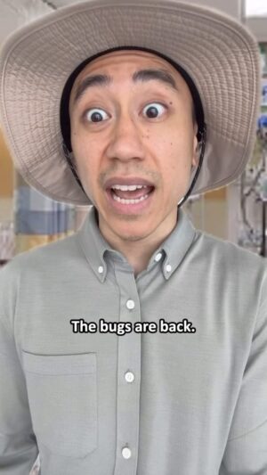 Steven Ho Instagram - The Bugs are BACK 😌 #MuFKR

All real stories submitted by YOU! Thanks for participating MuFKR ❤️

Think you have a better one?