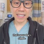 Steven Ho