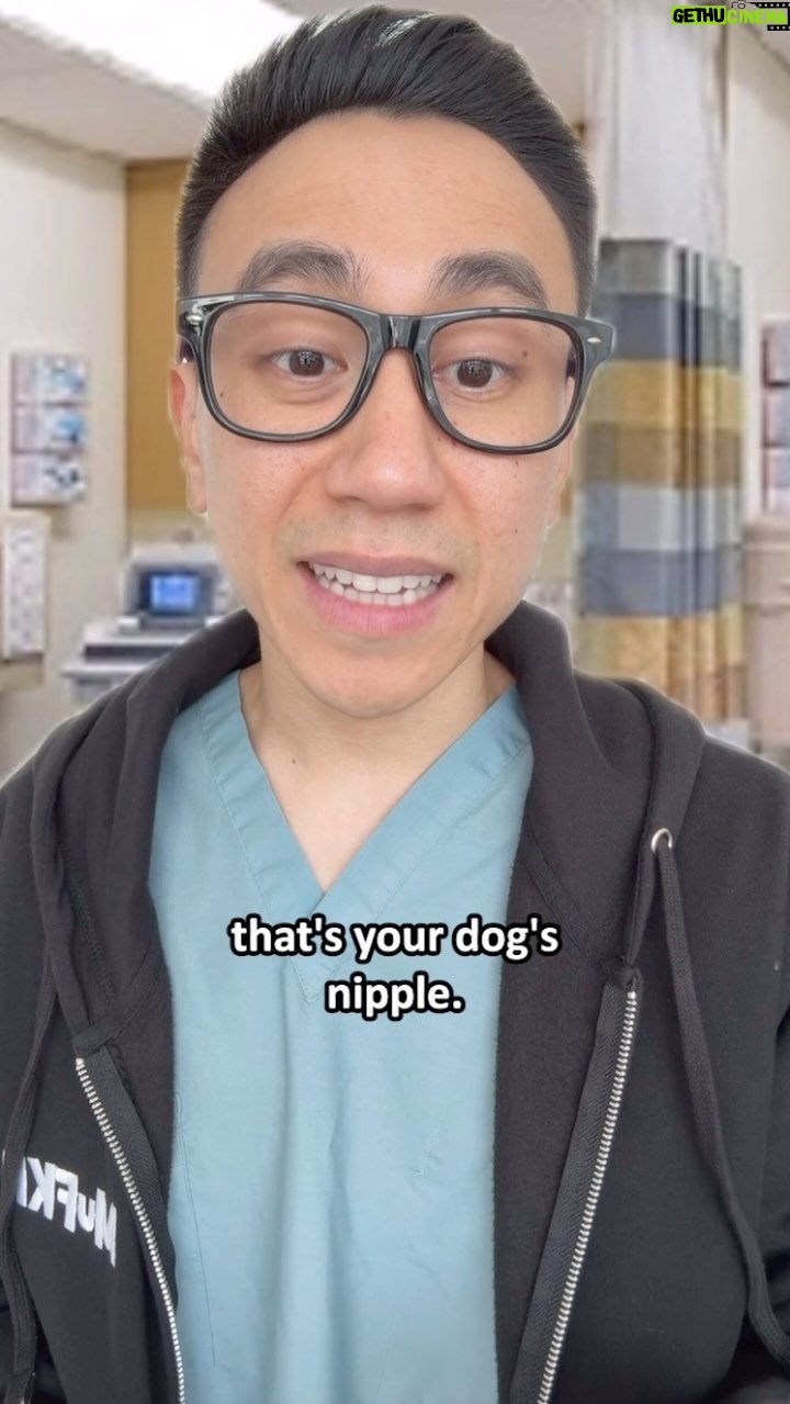 Steven Ho - 27.5K Likes - Guy realizes his dog has nips 🐶🤔 #MuFKR