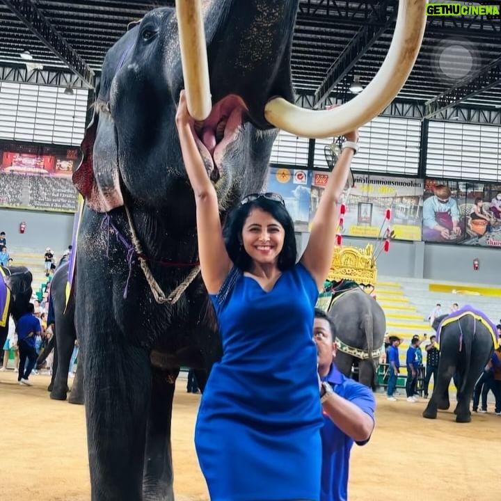 Subiksha - 1.5K Likes - Live with no excuses and travel with no regrets ♥️
That was a Beautiful week 🖤✨💙✨🩵✨🤍
#thailand #travelphotography #waterfall #elephant #trip #travel #pattaya #elephantlove #naturephotography #sk