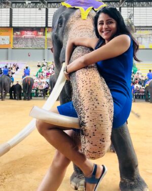Subiksha Instagram - Live with no excuses and travel with no regrets ♥️

That was a Beautiful week 🖤✨💙✨🩵✨🤍

#thailand #travelphotography #waterfall #elephant #trip #travel #pattaya #elephantlove #naturephotography #sk