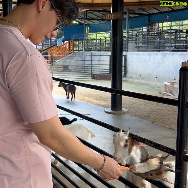 Suphakorn Sriphothong - 19.6K Likes - 🥰