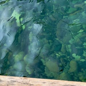 Syamantha Kiran Instagram - Dawki diaries!! Check out the crystal clear lake dawki in the last video!! 

Ps; pictures or photos don’t do any justice to this beauty!! Must visit place in north east!!

#travelgram #wanderlust #northeast #travelphotography #photography #dawkiriver #instatravel #travelblogger #naturephotography #northeastindia #incredibleindia #photooftheday #shillong #bangladesh #instagram #picoftheday #instagood #meghalayadiaries #mountains #water #mypixeldiary #boat #indiagram #boating #dawki #cherrapunji #meghalaya #syamanthakiran #vijaytelevision #crystalclearlake