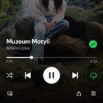 Sylwia Lipka