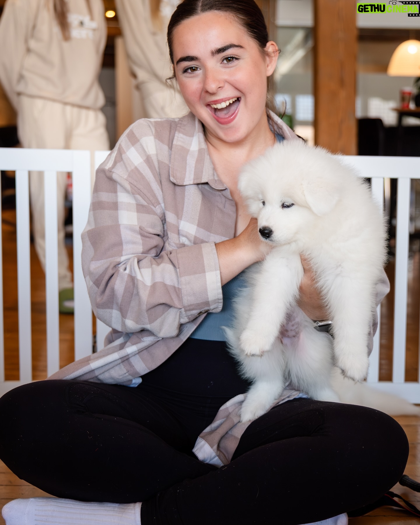 T.J. McGibbon - 9.9K Likes - This is your sign to go try puppy yoga š„¹
Spent the cutest morning yesterday with @timhortons celebrating their pet collection! These little puppy's were obsessed with the new toys. They will be available online and in select stores on National Dog Day (August 26th) and you don't want to miss it!! š¶
#puppyyoga #timspets #toronto #puppysphere #puppylove