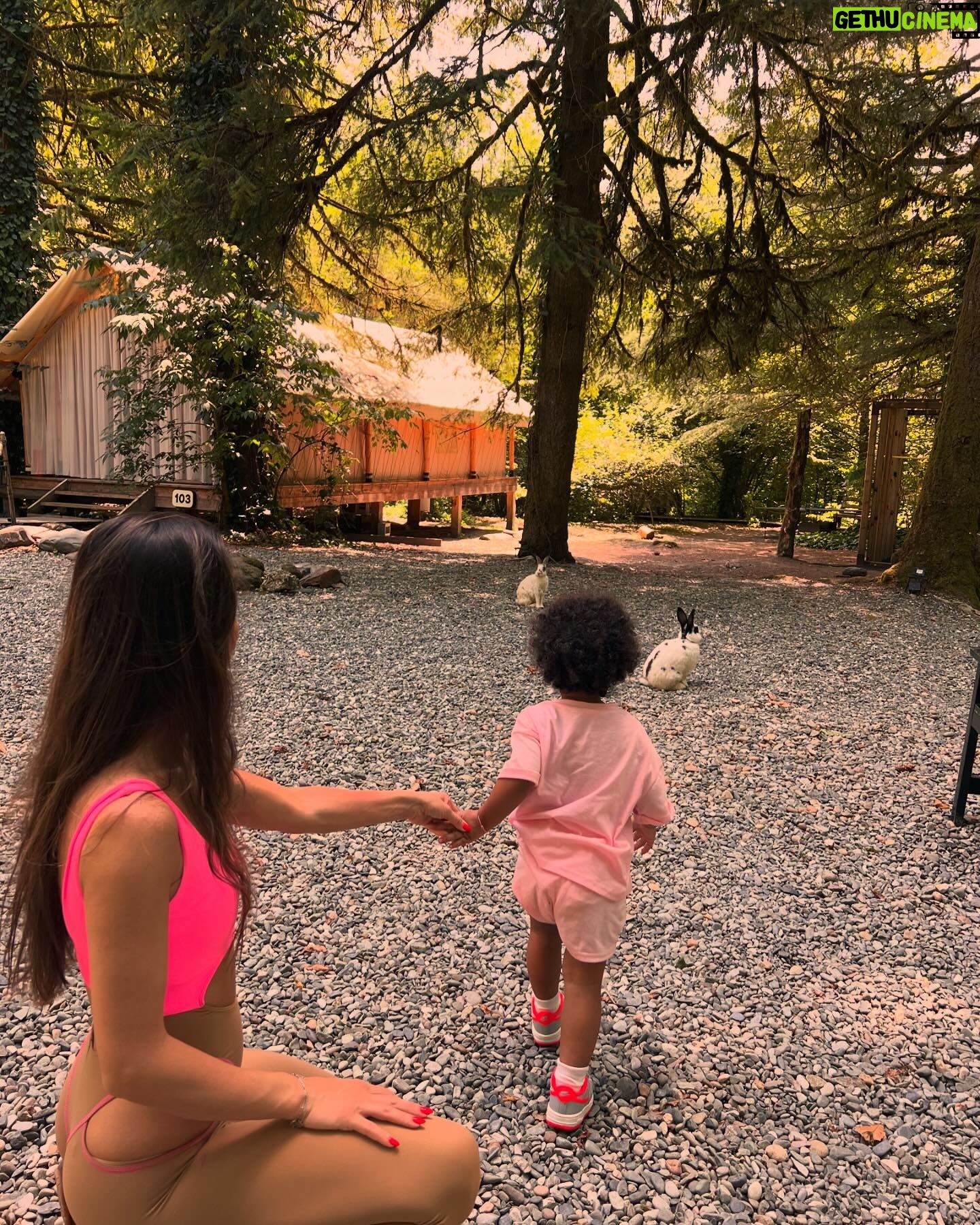 Tamara Turava - 38.8K Likes - @les_glamping 🌳 🐇 милое местечко для восстановления души и тела 🥰🪽