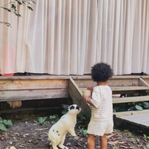 Tamara Turava Instagram - @les_glamping 🌳 🐇  милое местечко  для восстановления души и тела 🥰🪽
