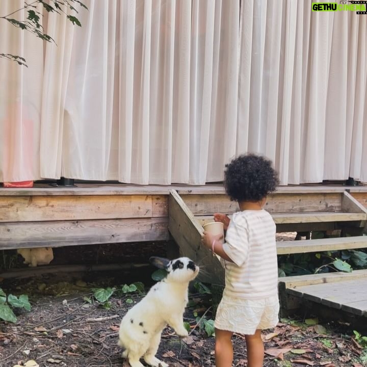 Tamara Turava - 38.8K Likes - @les_glamping 🌳 🐇 милое местечко для восстановления души и тела 🥰🪽