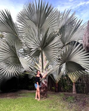 Tatiana Instagram - ✨ La belleza de la naturaleza nos recuerda lo importante que es detenernos un momento y apreciar los pequeños milagros que nos rodean. 🌿🌸 La paz que se siente al estar en contacto con ella es inigualable. ¡Nunca dejemos de cuidar y valorar nuestro planeta! 🌍💚

Foto : @gerryelizondo 🫶🏽