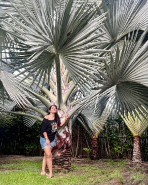 Tatiana Instagram - ✨ La belleza de la naturaleza nos recuerda lo importante que es detenernos un momento y apreciar los pequeños milagros que nos rodean. 🌿🌸 La paz que se siente al estar en contacto con ella es inigualable. ¡Nunca dejemos de cuidar y valorar nuestro planeta! 🌍💚

Foto : @gerryelizondo 🫶🏽