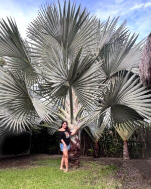 Tatiana Instagram - ✨ La belleza de la naturaleza nos recuerda lo importante que es detenernos un momento y apreciar los pequeños milagros que nos rodean. 🌿🌸 La paz que se siente al estar en contacto con ella es inigualable. ¡Nunca dejemos de cuidar y valorar nuestro planeta! 🌍💚

Foto : @gerryelizondo 🫶🏽