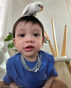Actor Tawan Vihokratana HD Instagram Photos and Wallpapers August 2024