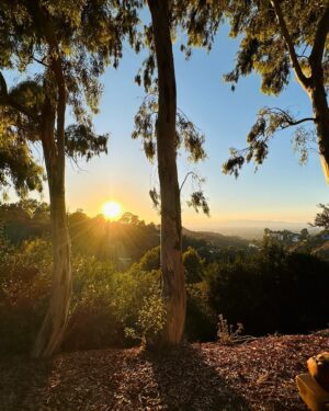 Tembi Locke Instagram - This is the year. I’m older than he ever was and also older than I’ve ever been. Time. it happens like that, if we’re lucky. ~ Time is happening to us, in every moment. We are different, older, more experienced. That is a gift. Every moment is a gift. Especially if we know it, circle our awareness around that knowing.✨✨✨ This is the year of simplicity and dedication. Of service and love. Of dreaming forward a gentler, more loving world with each day. This is the year I clam joy as both justice and salvation. When I stand in the trenches of optimism and hope and cry out for more. Because that is work of this now. ❤️ I do it in memory of him. I do it for her tomorrow. I do it to be a better partner, friend, sister, and expression of spirit. I do it for people I will never meet. Children who are not mine, but belong to all of us. And I do it for me. #birthdaylove