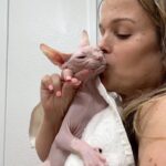 Terra Jolé