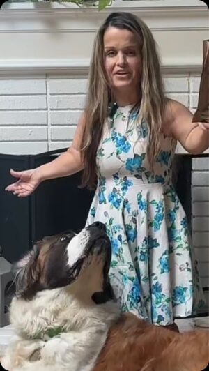 Terra Jolé Instagram - Sometimes you just have the zoomies 🤌🏼🐶 #buttersthesaint #saintbernard #dogsofinstagram #stbernard #dogstagram #dogtraining