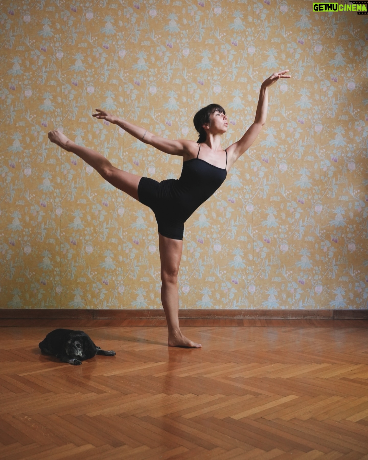 Tess Masazza - 18.5K Likes - Le mie passioni: la danza, i carlini e la carta da parati.
#pug #ballet #danzaclassica #carlini #cartadaparati #insopportabilmentedonna