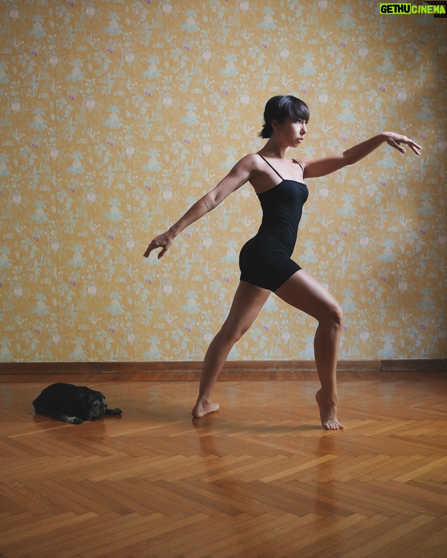 Tess Masazza - 18.5K Likes - Le mie passioni: la danza, i carlini e la carta da parati.
#pug #ballet #danzaclassica #carlini #cartadaparati #insopportabilmentedonna