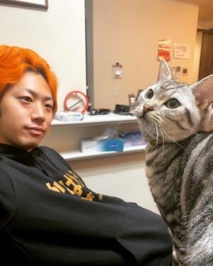 Tetsuya Instagram - 今年も昨年に引き続き猫年です